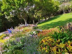 -深圳国际园林花卉博览园