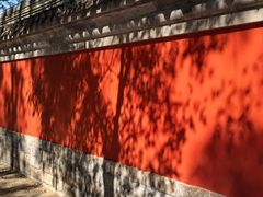 -老三羊汤【北兴隆街店】