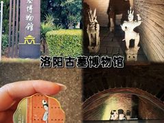 -洛阳古墓博物馆