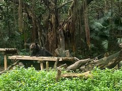 -广州长隆野生动物世界