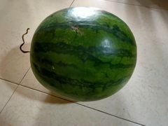 西瓜-东江海鲜酒家(艺都分店)