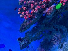 -海合安青岛极地海洋公园