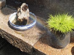 -月栖华明-云间草堂清茶馆(泗泾古镇店)