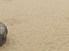 -青枫公园