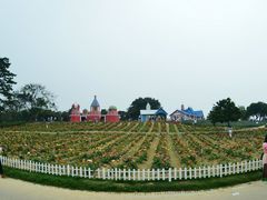 -东莞植物园