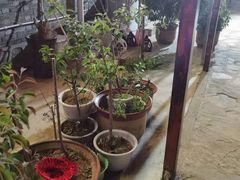 -梨木台悦来客农家院