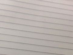 -芭比堂动物医院广州顽皮分院