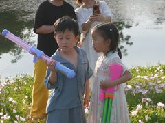 -洋湖国家湿地公园