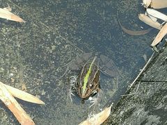 -白塘生态植物园