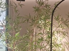 -绿茶餐厅(淮安吾悦广场店)