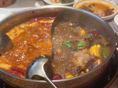 -菌自在·云南野生菌火锅(长安万达店)