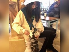 -共舞时光猫咖·狗咖(新街口店)