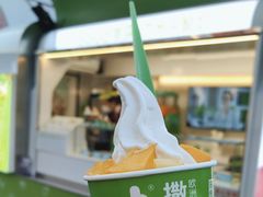 -Salud撒露欧洲冻酸奶(蓝色港湾店)