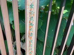 -陈家山荷花公园