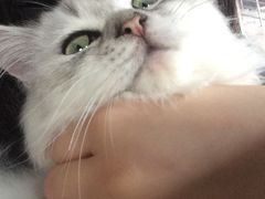 -赢吧Bliss音乐酒吧