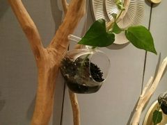 -海洋之星休闲汗蒸浴场