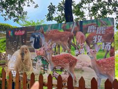 -盈香心动乐园