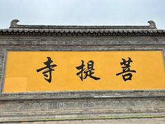-台儿庄古城