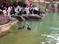 -云台山风景名胜区