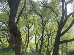 -徐家汇源景区-衡山公园