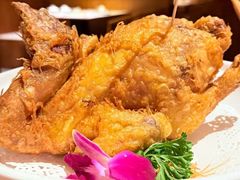 -唐猫庭院·千年陕菜(大唐不夜城店)