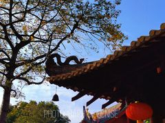 -光孝寺