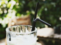 -Sirena海妖日咖夜酒