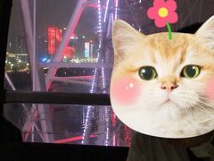 -琴岛之星摩天轮