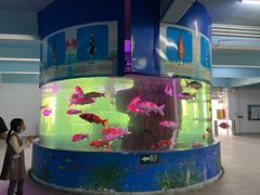 -泉州海丝野生动物世界