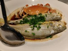 -三利音·玖弄小鲜(浦东嘉里城店)