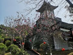 -广州神农草堂中医药博物馆