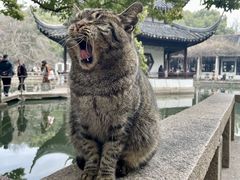 -西园戒幢律寺