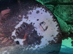 -沈阳海洋探索中心