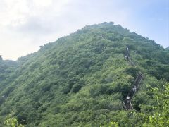 -大岭沟猕猴桃谷风景区