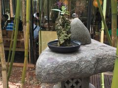 -新竹里馆·花园餐厅(兴苑路店)