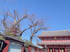 -浅草寺