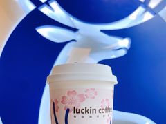 小陨石大红袍厚乳-瑞幸咖啡(八卦岭工业店)