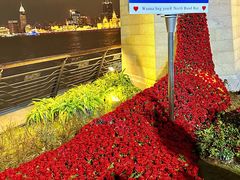 -上海港国际客运中心