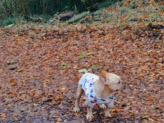 -南京市无想山景区