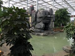 -兰陵国家农业公园