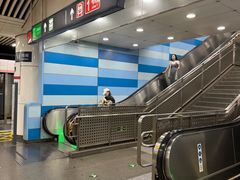 -大望路(地铁站)