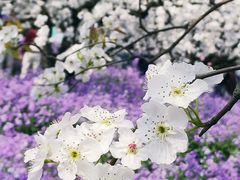 -江苏三台山国家森林公园
