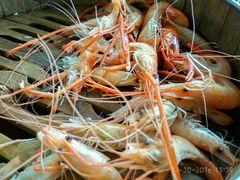 -八仔大富楼·河鲜(西江店)