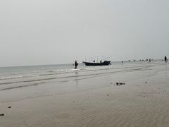 -贝壳沙滩