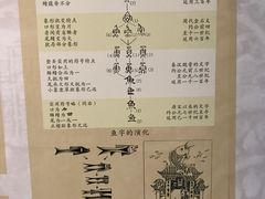 -上海海洋大学鱼文化博物馆(军工路校区)