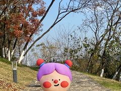 -羊山湖公园