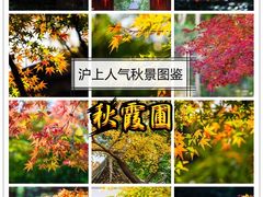 -秋霞圃