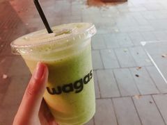 -Wagas沃歌斯(大学路店)