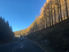 -塞罕坝国家级自然保护区