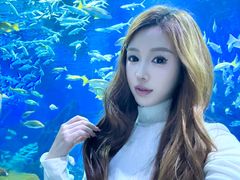 -海合安武汉极地海洋公园